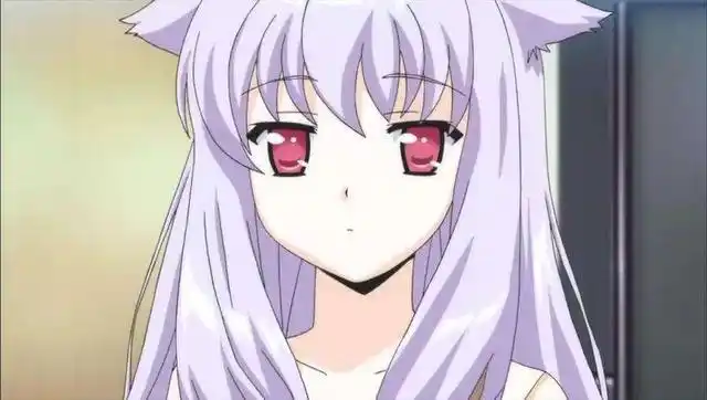 原创动漫中"猫娘"的萌点,深入宅心!