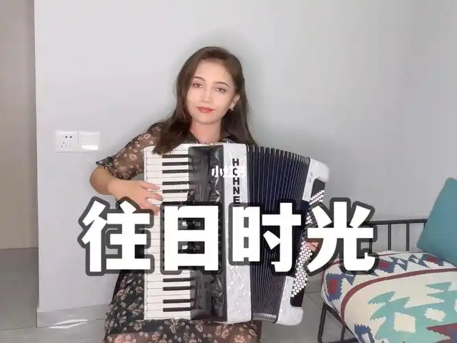 手风琴  #音乐  #独奏  #往日时光