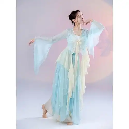 古典舞蹈服古典舞练功服飘逸仙气纱衣上衣长款民族舞舞演出服套装