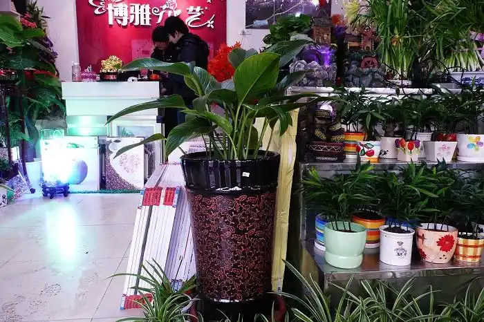 花店内部实拍图片 - 博雅花艺 - 博雅花艺