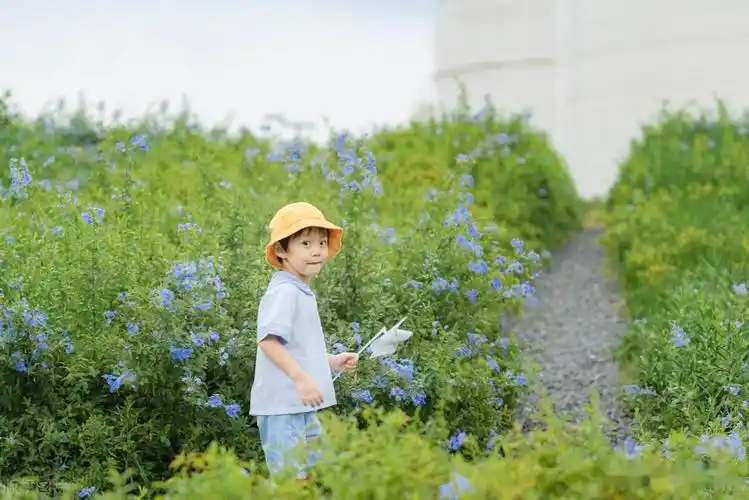 男孩起名软糯可爱又拽又奶的男宝宝乳名大全