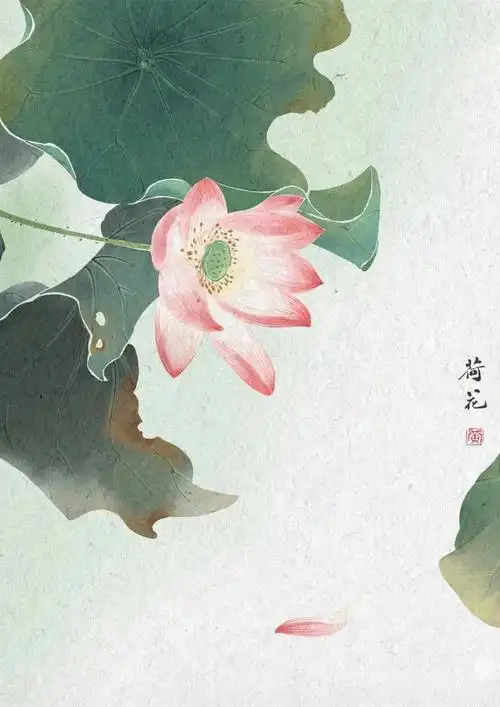 图片参考来源@华科小昊#procreate  #荷花  #水彩  #古风插画  #没骨