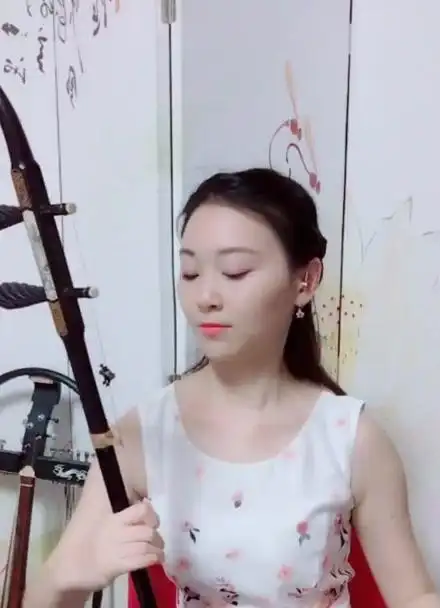 二胡演奏《梅花三弄》