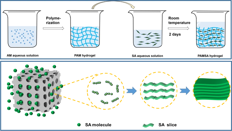 北理工在自愈合高强度水凝胶方面取得重要研究进展