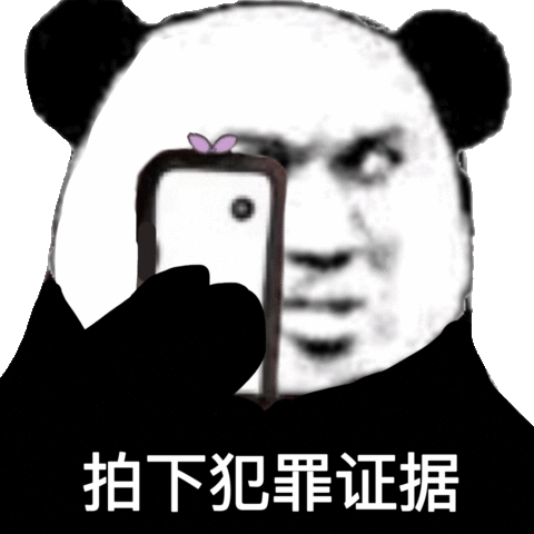 拍下犯罪证据熊猫头拍下熊猫犯罪证据表情
