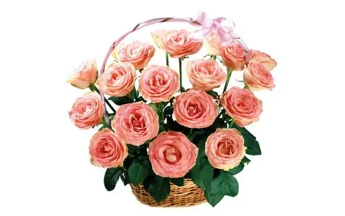 电脑壁纸 花卉 鲜花 鲜艳玫瑰花