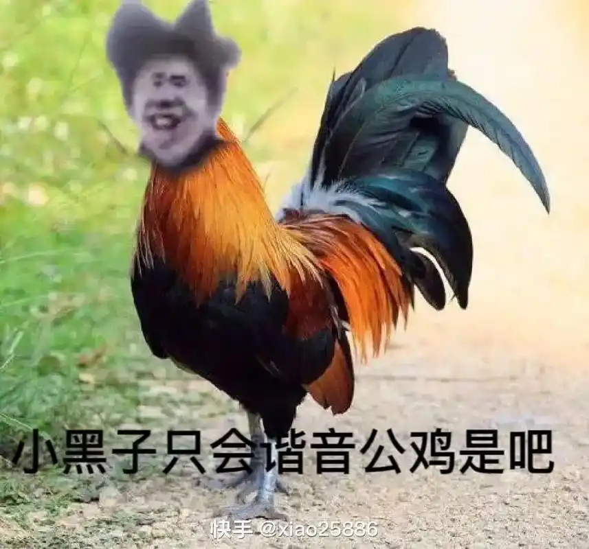 鸡你太美 #只因你太美 #鸡 #ikun #小黑子 更新了 - 抖音