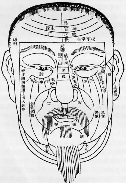 额头面相解说 额头纹所代表的含义_51爱测网-算命最准的网站-相术