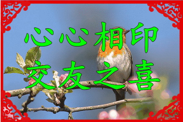 的喜鹊收到喜事临门亲爱的朋友美好的祝福早早送给你祝大家开门见喜