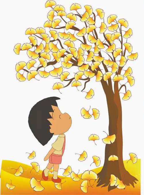 秋天的落叶