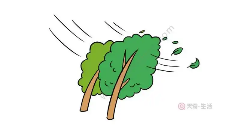 可爱的风怎么画简笔画