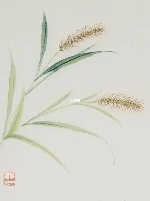 国画小草