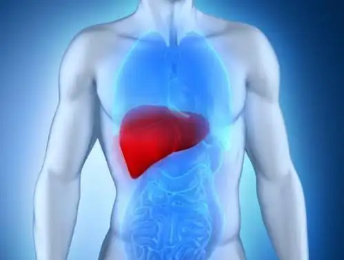 肝脏最怕"堵",这5个坏习惯赶紧改掉,避免给肝脏添堵