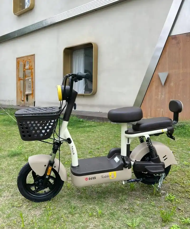 台铃小白兔.台铃小白兔  标配48伏12安铅酸电池,不可以拿 - 抖音