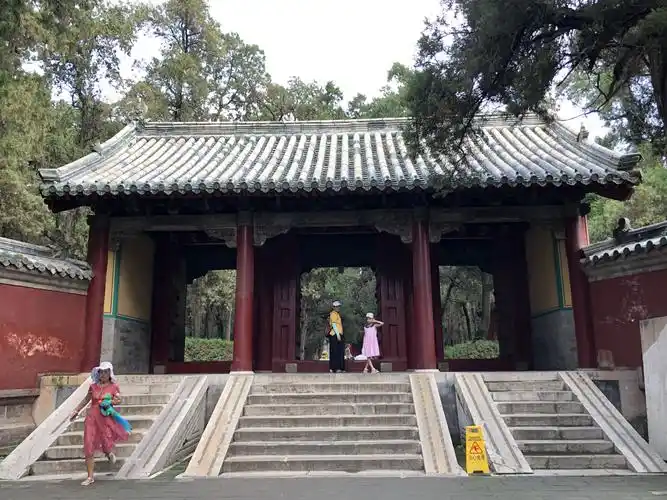 龙行天下的美篇山东济宁,曲阜,孔子故里孔林.