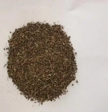 [绣线菊种子批发]绣线菊种子价格20.00元/斤 - 一亩田