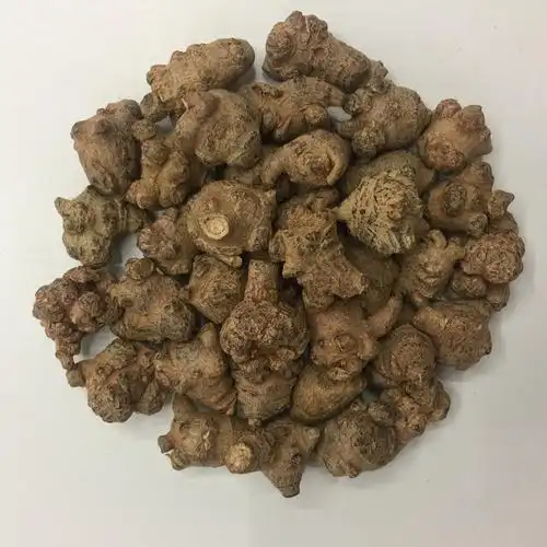 三七80头云南文山