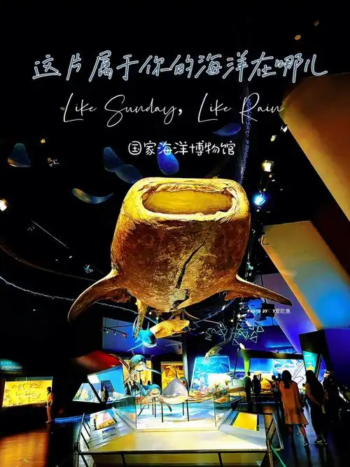 假期去哪玩国家海洋博物馆一馆内攻略
