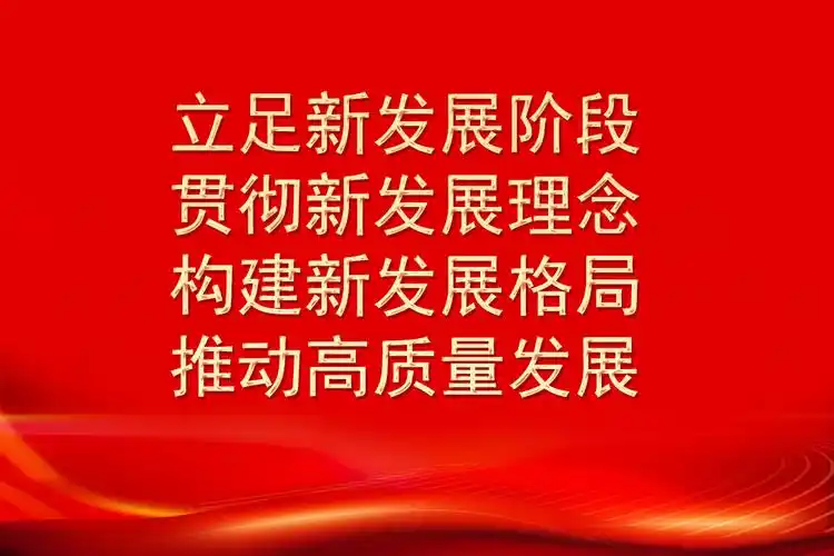 立足新发展阶段贯彻新发展理念构建新发展格局推动高质量发展