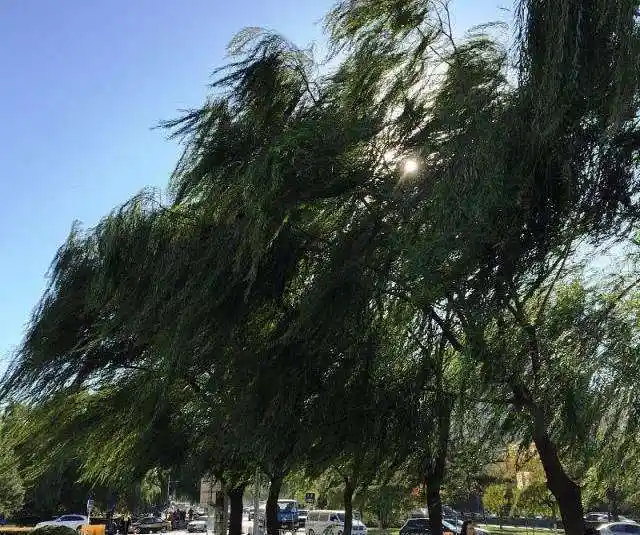 北京九级大风女驴友被大风吹下20米悬崖经三地救援找到遗体