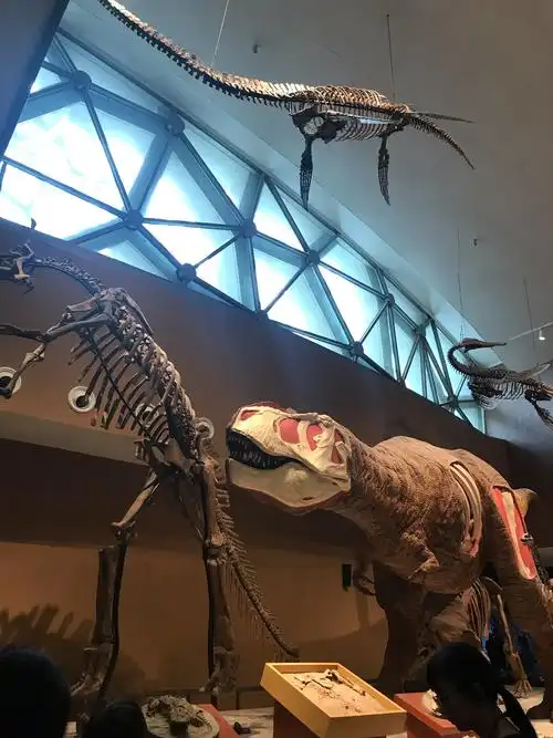 上海科技馆自然博物馆知识行