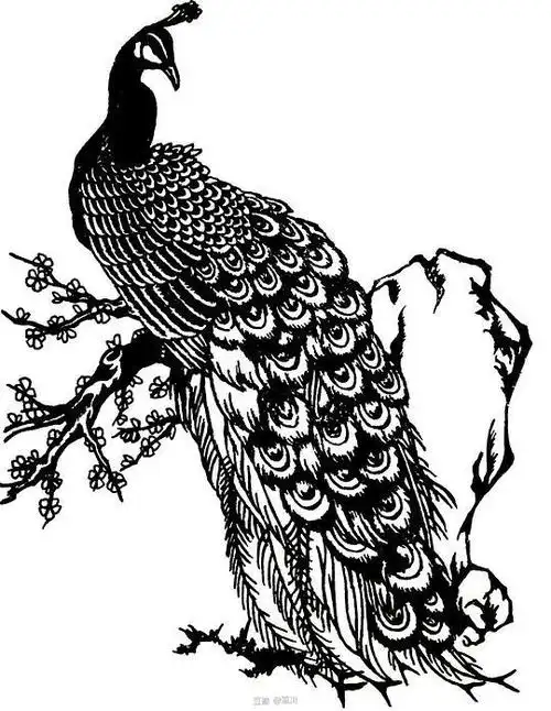 凉川的相册-手绘白描——黑白映像