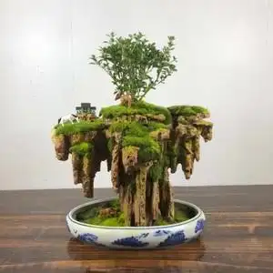 特价精品天然吸水石盆景上水石假山室内居家办公景观盆景鱼缸造景