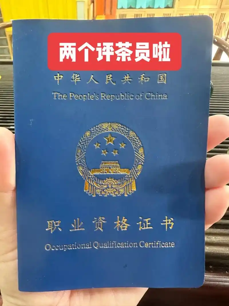 儿子考的分数竟然比老妈高#评茶员证书 #评茶员 #绿雪芽利津 - 抖音