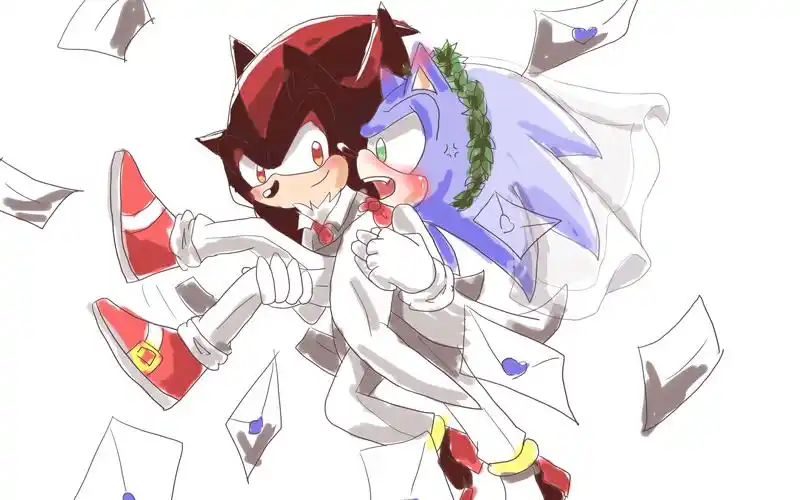 自制黑青手书粘着系刺猬十五年的纠缠不休