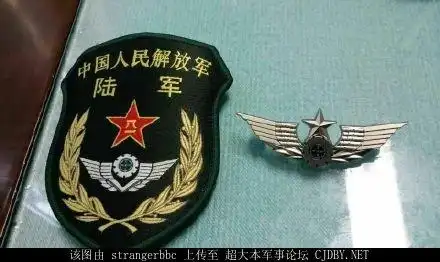 解放军陆军新胸标设计是什么意思