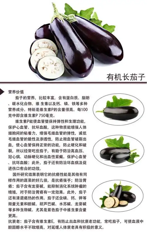 京禾园生态种植茄子 自然生长 长茄子 小汤山新鲜茄子-tmall.com天猫