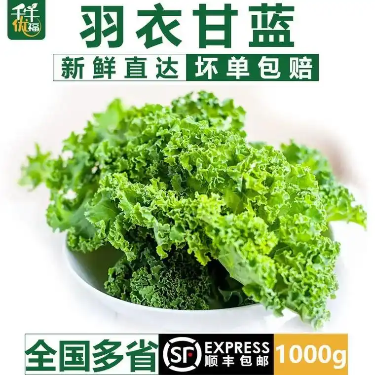 【千牛优福】羽衣甘蓝kale新鲜蔬菜嫩叶健身减脂榨汁蔬菜之王 - 抖音