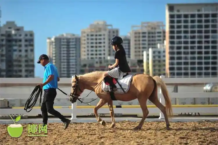 屋顶上的轻骑兵 海南首家屋顶马场现身海口