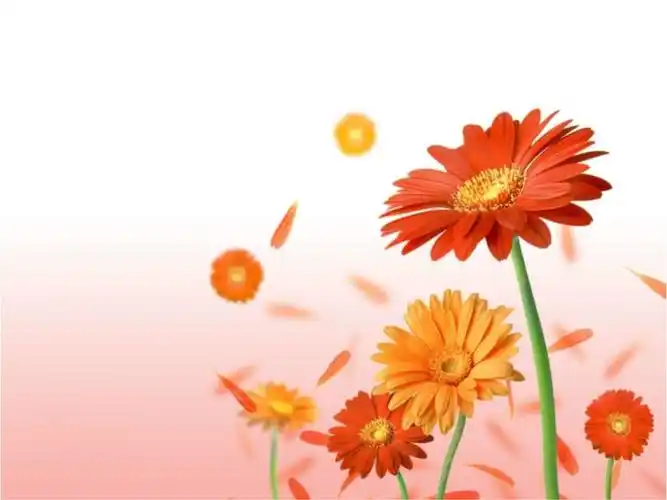 经典唯美的课件背景图片1.ppt