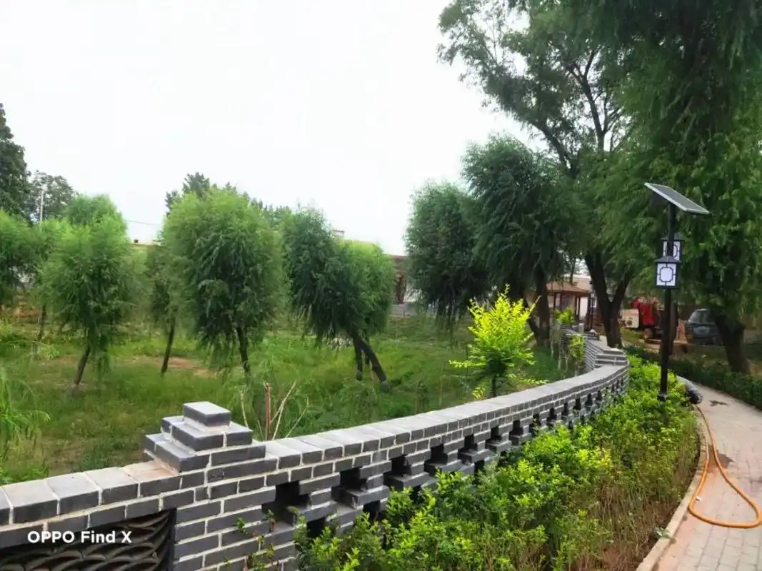 西后坊表村垃圾坑塘变身美丽乡村小游园