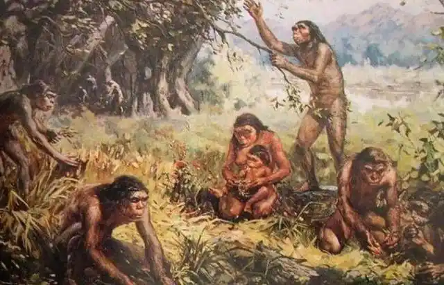 动物都有固定繁殖期,为什么人类没有?人类又为何要隐藏排卵期?