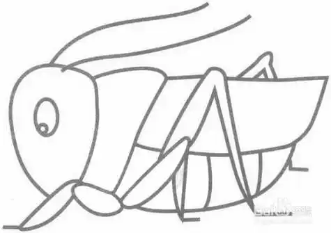 最简单的蝈蝈简笔画 简笔画图片大全-普车都