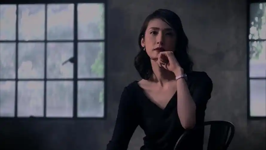 天海佑希grandseiko日本の时计は美しいと思う篇