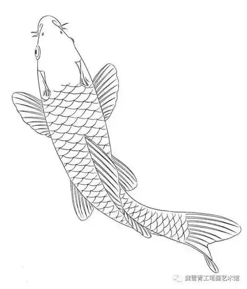 龚雪青工笔《鲤鱼百态》实用白描_组合_造型_象征