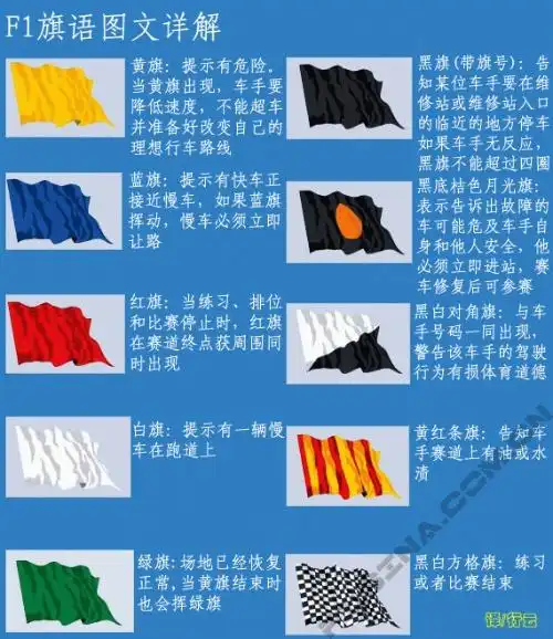 观赛指南f1旗语介绍