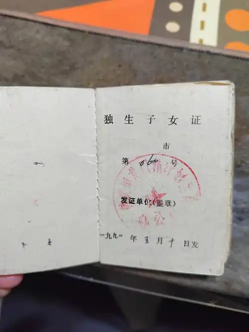 时代产物独生子女