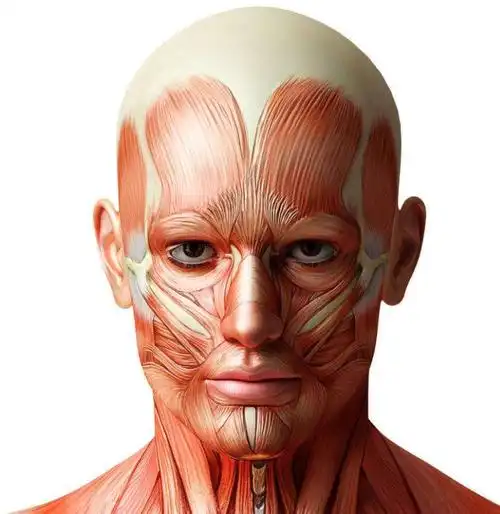 50岁的年龄20岁的脸,冻龄皮肤的秘密竟是这个小方法