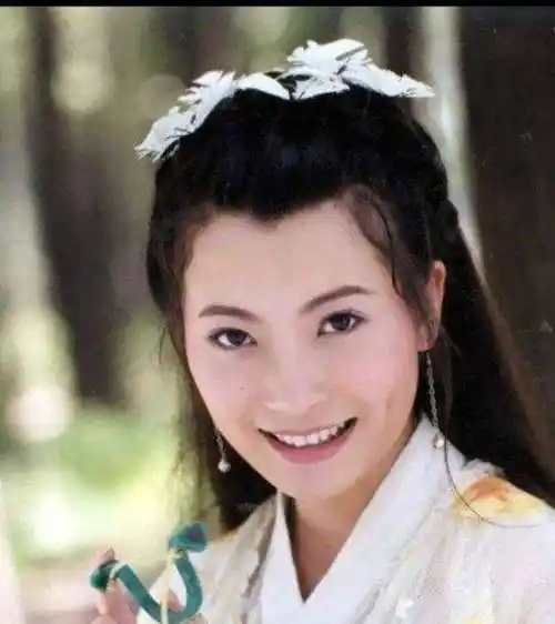 20年后,主角泯然众人,配角戏约不断反而更红_朱宏嘉_黄海冰_王艳