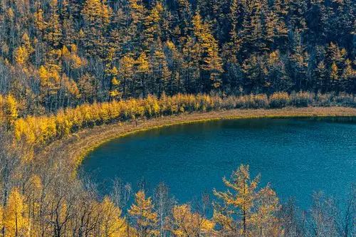 柴河的风景月亮湖