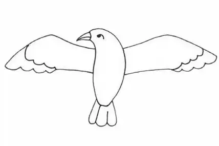 超简单的信天翁简笔画步骤画法图片大全