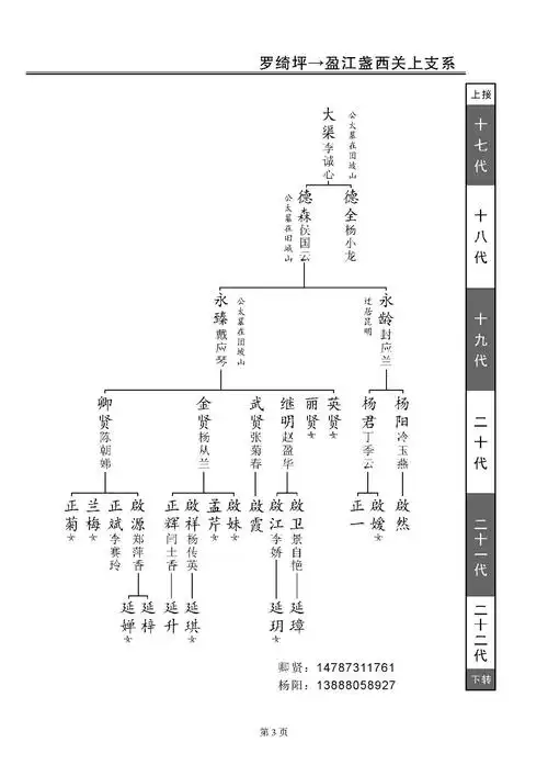 杨氏家谱一一盈江关上魅品后裔支系谱