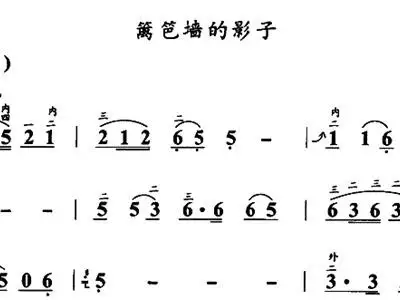 篱笆墙的影子 二胡