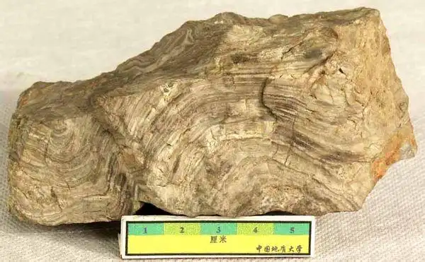 如果你说的是只天然的矿物火石的话 那就是燧石