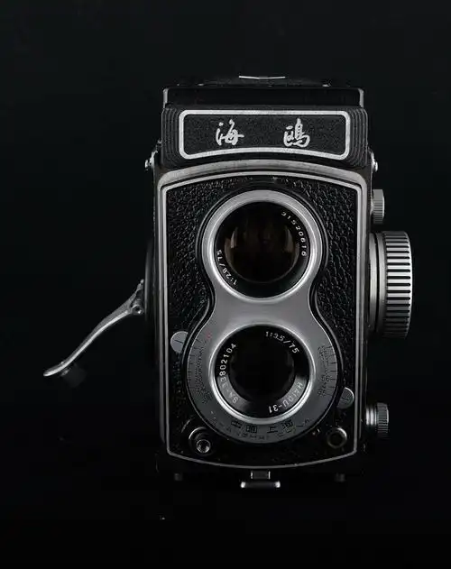 3p:海鸥4a中早期:4a系列是海鸥的经典机型,从60年代一直生产到80年代