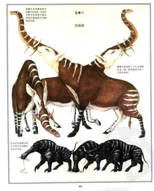 未来世界的动物一些非常扯淡!究竟是那些?